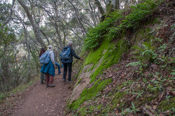 Pulgas Ridge Outing