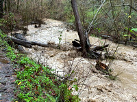 12/31/2022-1/2/2023 Corte Madera Creek in Full Flow along Eagle Trail