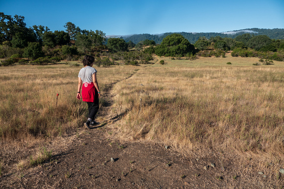 Walking Across Grassland