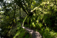 Herb Dengler Trail (Trail 1)