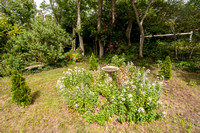 Part of Front Garden