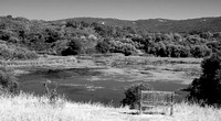 Monika's Bench and Searsville Lake