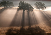 10/20/2012 Blue Oak Ranch Reserve