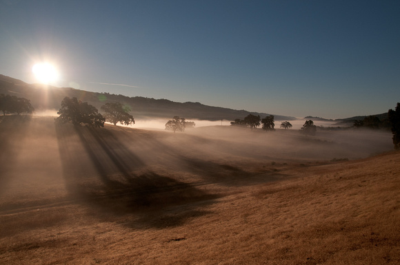 More Dawn Shadows