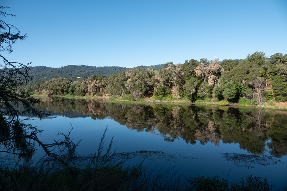 Reflections on a Quiet Morning