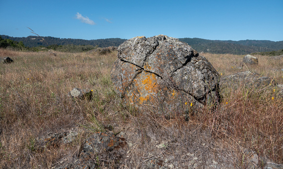 Serpentine Rock with Lichen