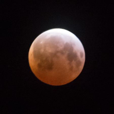 Blood Moon