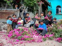 Family Prepares Flowers for Holy Week Procession, Lake Atitlan, Guatemala, 2006