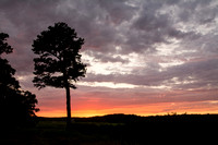 Sunset over the Marsh