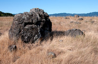 Serpentine Boulders in Grassland