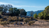 Birders at Jasper Ridge