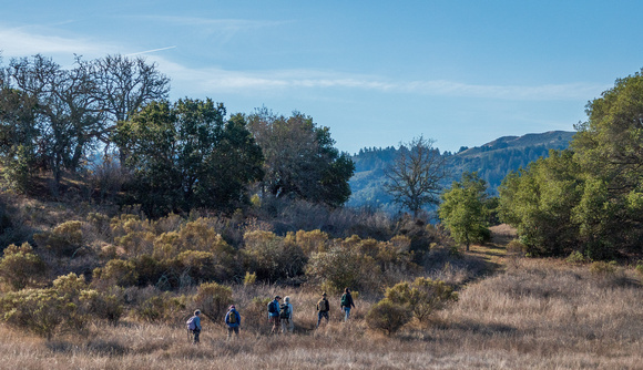 Birders at Jasper Ridge