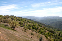 3/4/2013 Henry Coe Park with Jasper Ridge docents