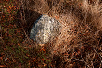 Stone in Grass