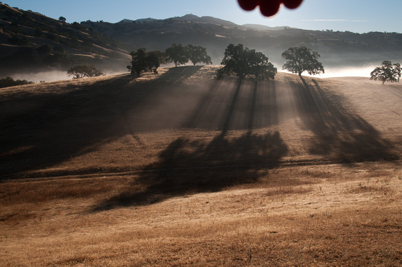 More Dawn Shadows