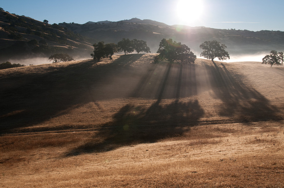 More Dawn Shadows