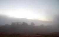 Shifting Fog