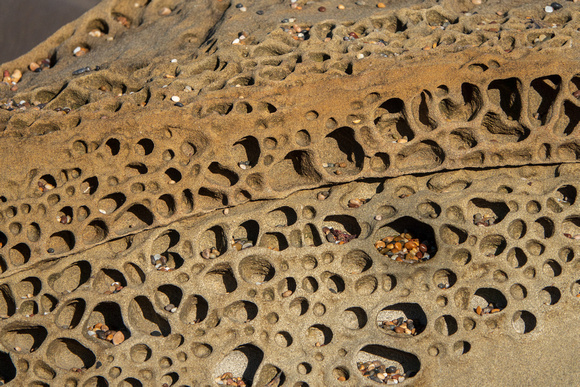 Sandstone Formations on Pebble Beach (Closer Still)