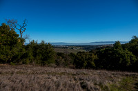 Haze over thje Bay