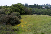 Grassland and Forest along Trail 15