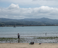 Low Tide at Pillar Point Marsh