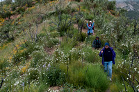 Flag Rock Trail 2010